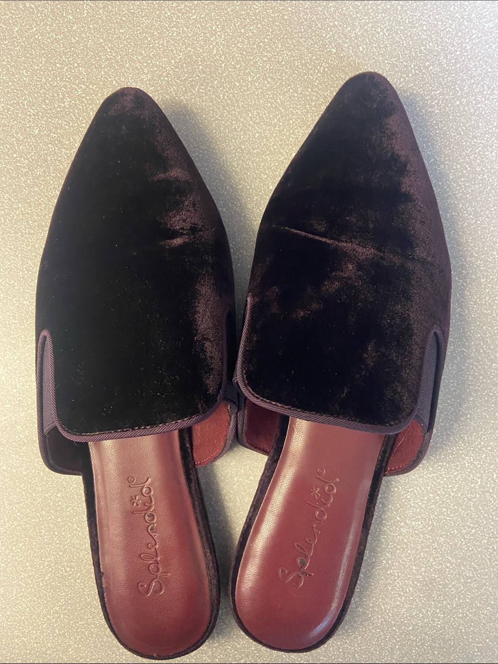 Splendid Leeza mules burgundy velvet size 8